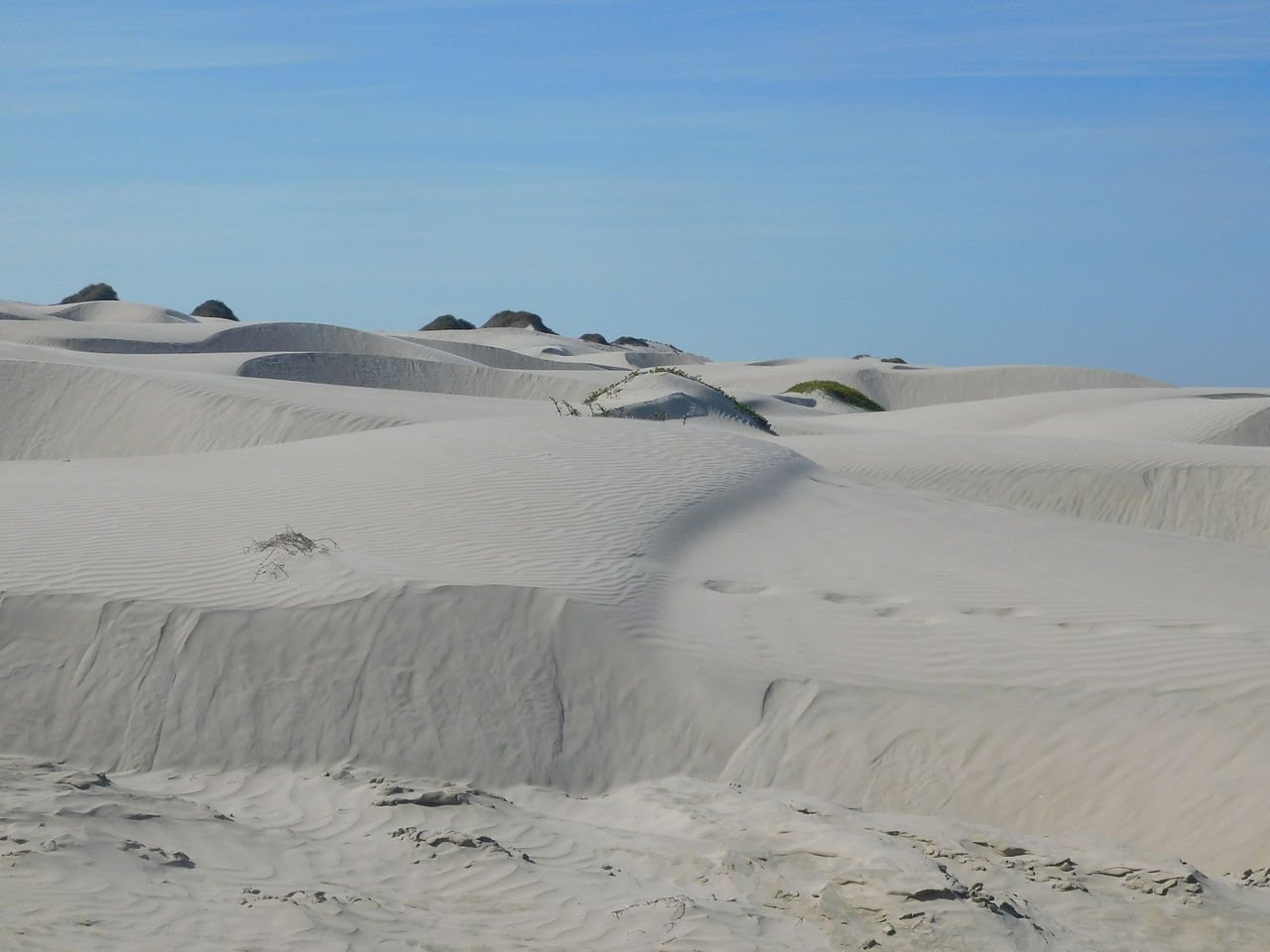 hiking the dunes of Baja California
