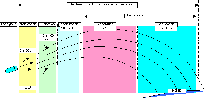 Les différentes phases