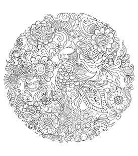 heena-01.png