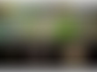 From seven to three: integrative species delimitation supports major reduction in species number in