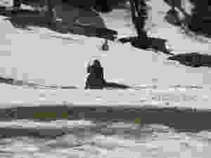 Places to visit in Sonmarg | Tour of Sonmarg | Visit to Sonmarg
