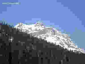 Places to visit in Sonmarg | Tour of Sonmarg | Visit to Sonmarg