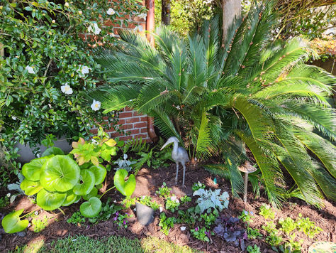 Harborview to the Harbor garden tour