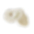 oyster.png