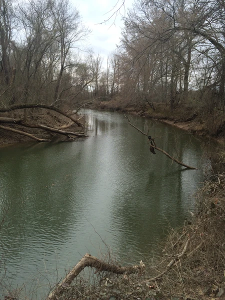 Creek in winter time