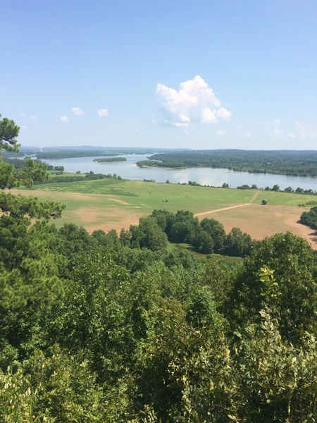 2026 Oral Presentation Topic Non-point source pollution mitigation - it begins at home