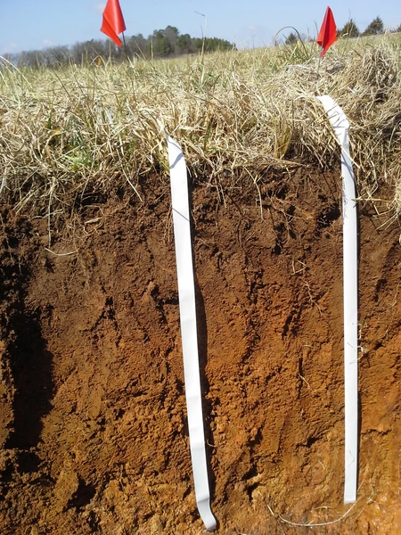 Soil profile
