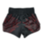 BS1920 Back Fairtex Muay Thai Shorts Muay Thai Shop Chiang Mai