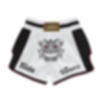 BS1712_Fairtex Muay Thai Shorts