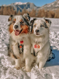 PHOTO BAS DE PAGE __ Joy et Priska, une de mes meilleures clientes (j'adore cette photo).j