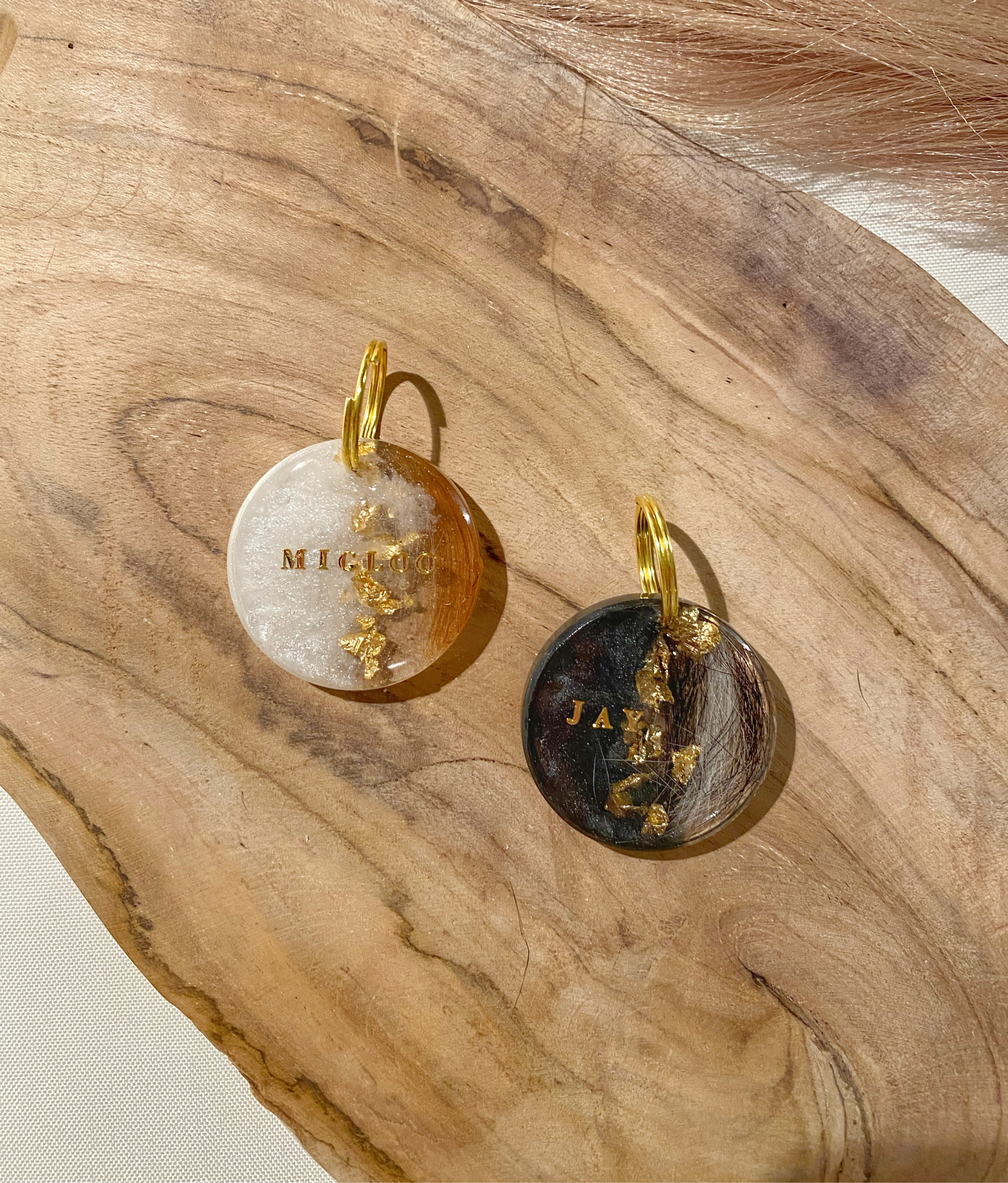 Remember modèle JENA