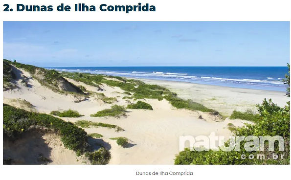 DINAS.jpeg