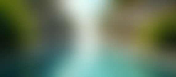 Top Luxury Travel Agencies in the USA