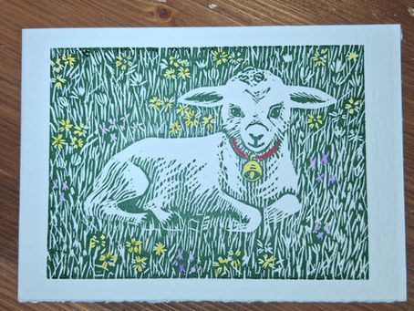 Jaro v knihkupectví