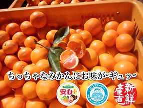 image2.jpeg