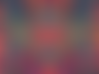 Exclusive Memorabilia and Apparel for Festival Lovers