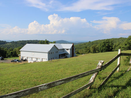 2025 - A Year to Remember at Moonlight Manor