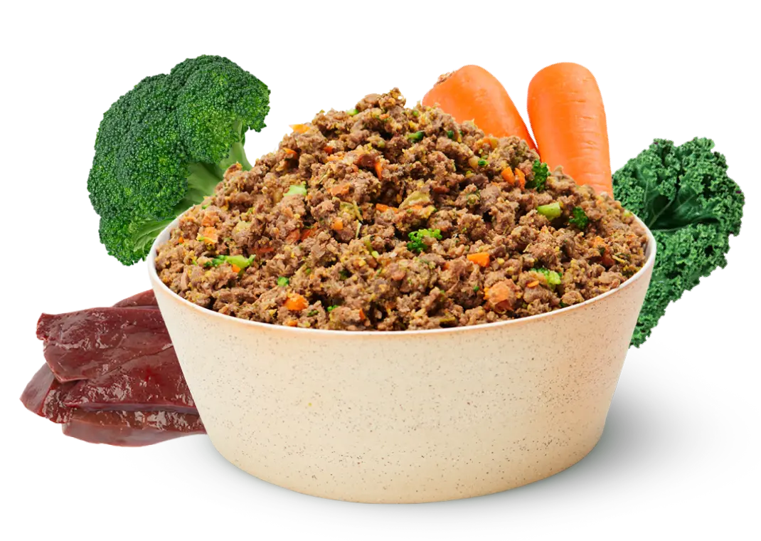 Beef Bowl_2x.webp