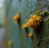 The Ultimate Guide to Mold Testing in NYC: Costs, Procedures, and When to Test