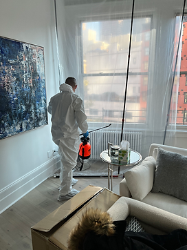 Professional inspecting mold growth on a wall with a moisture meter, demonstrating mold remediation assessment.