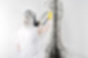 Professional performing mold remediation wearing protective gear and using specialized equipment.