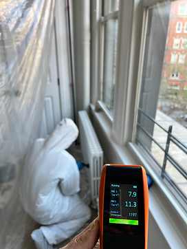 Professional inspecting mold growth on a wall with a moisture meter, demonstrating mold remediation assessment.