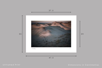 LOWDOWN-print-sizes