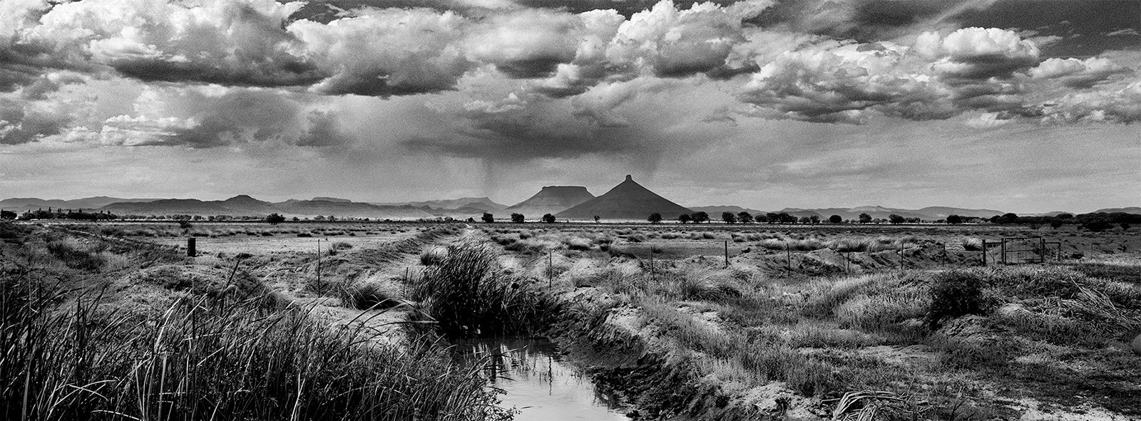 Theebus & Koffiebus Photography