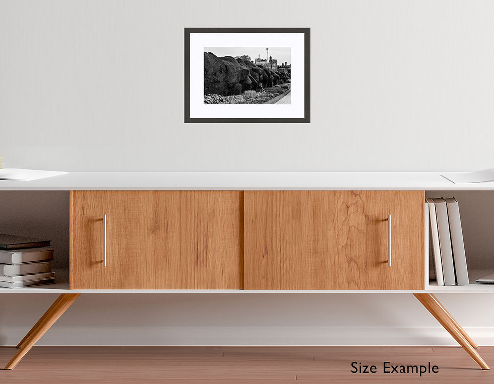 Thumbnail: Cloud Hedge Wall Art