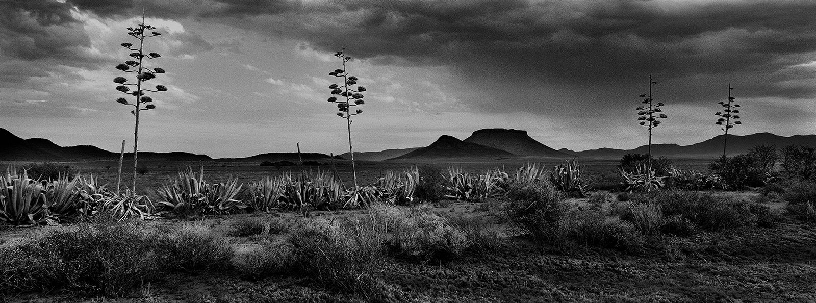 Tafelburg Koppie Photography