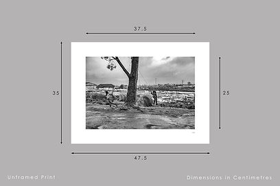 Playground - print sizes from the Inheritance in black & white collection