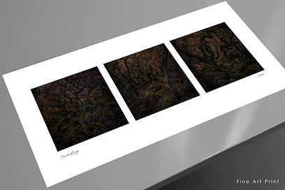 WISTMAN'S-print-table-shot