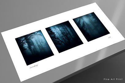 RIDGE-print-table-shot