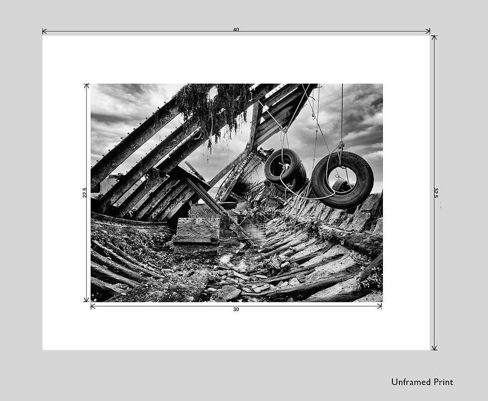 Thumbnail: Chard Ribs Photo Prints