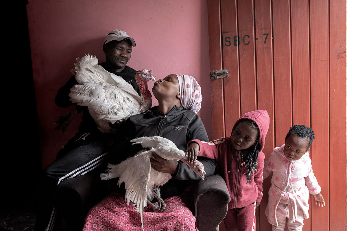 Turkey Kiss Photographic Art