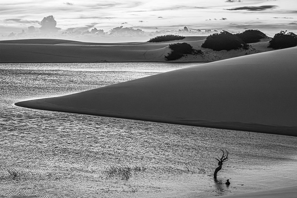 Lençóis Maranhenses