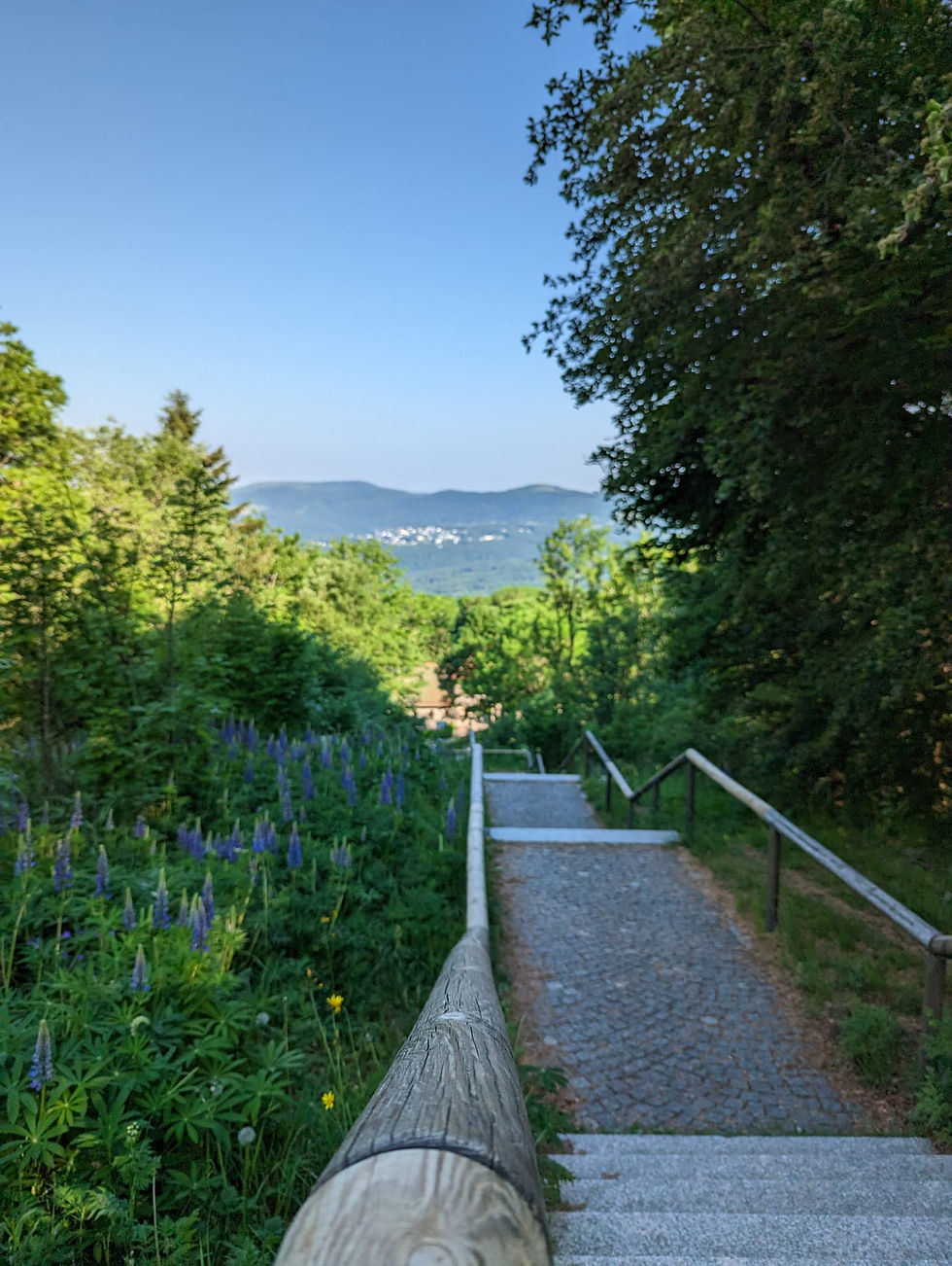 1a53c818-bf95-4a7e-bce5-7ec2154dc403