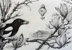 Drawing of a magpie around magnolias in bloom saxhyttans skola. Magical realism drawing by Gunnar Foley