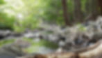 lieu nature druide2