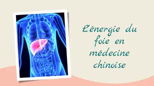 L'énergie du Foie, moteur de notre évolution en médecine chinoise