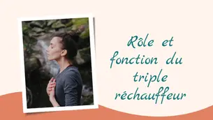 Triple Réchauffeur : Pivot énergétique en médecine chinoise