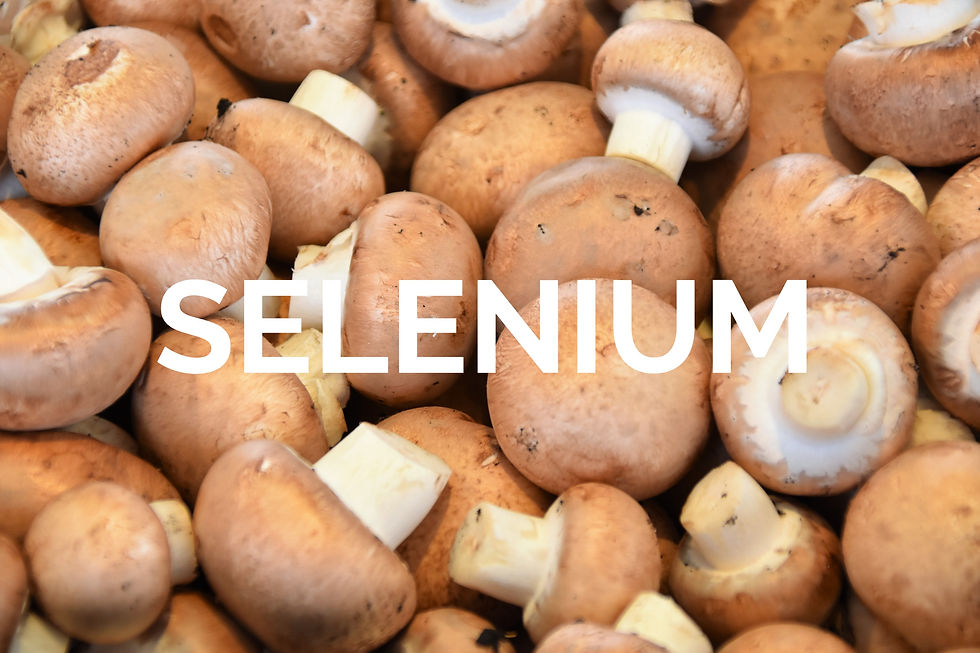 Image of mushrooms to depict a source of selenium