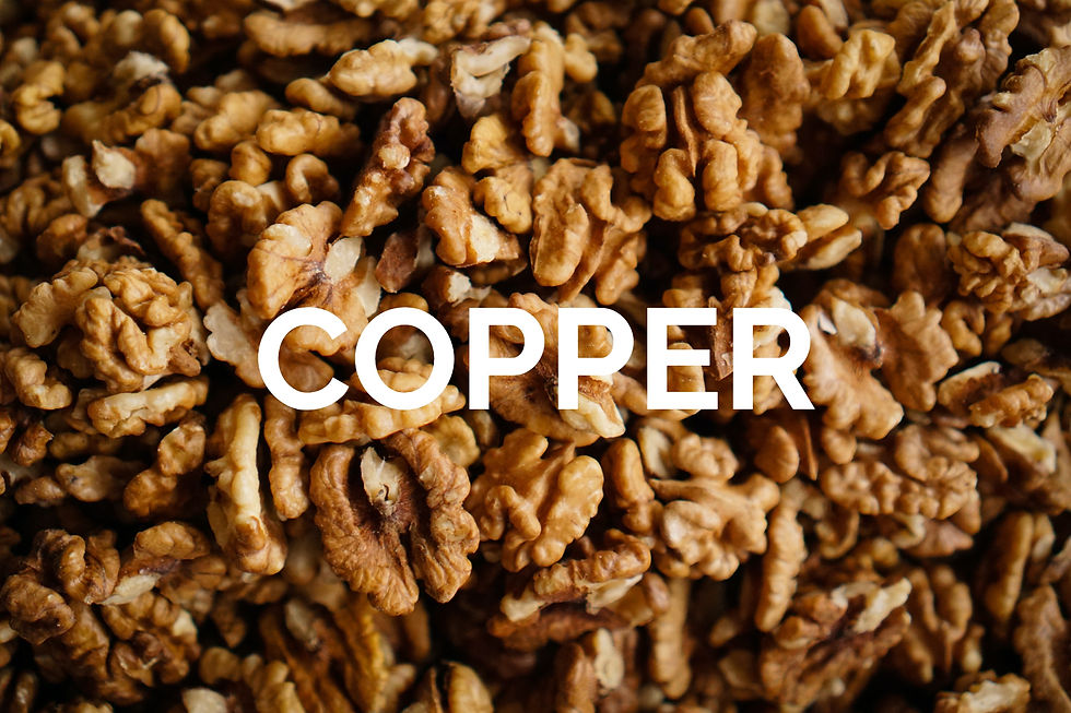 Image of nuts to depict a source of copper