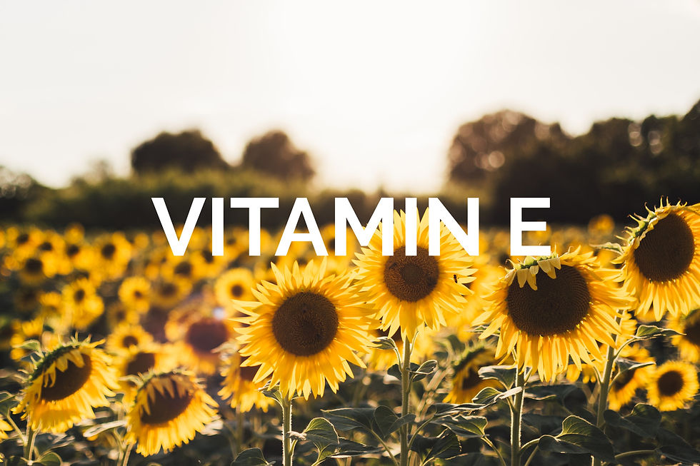 Image of sunflowers to depict a source of vitamin E