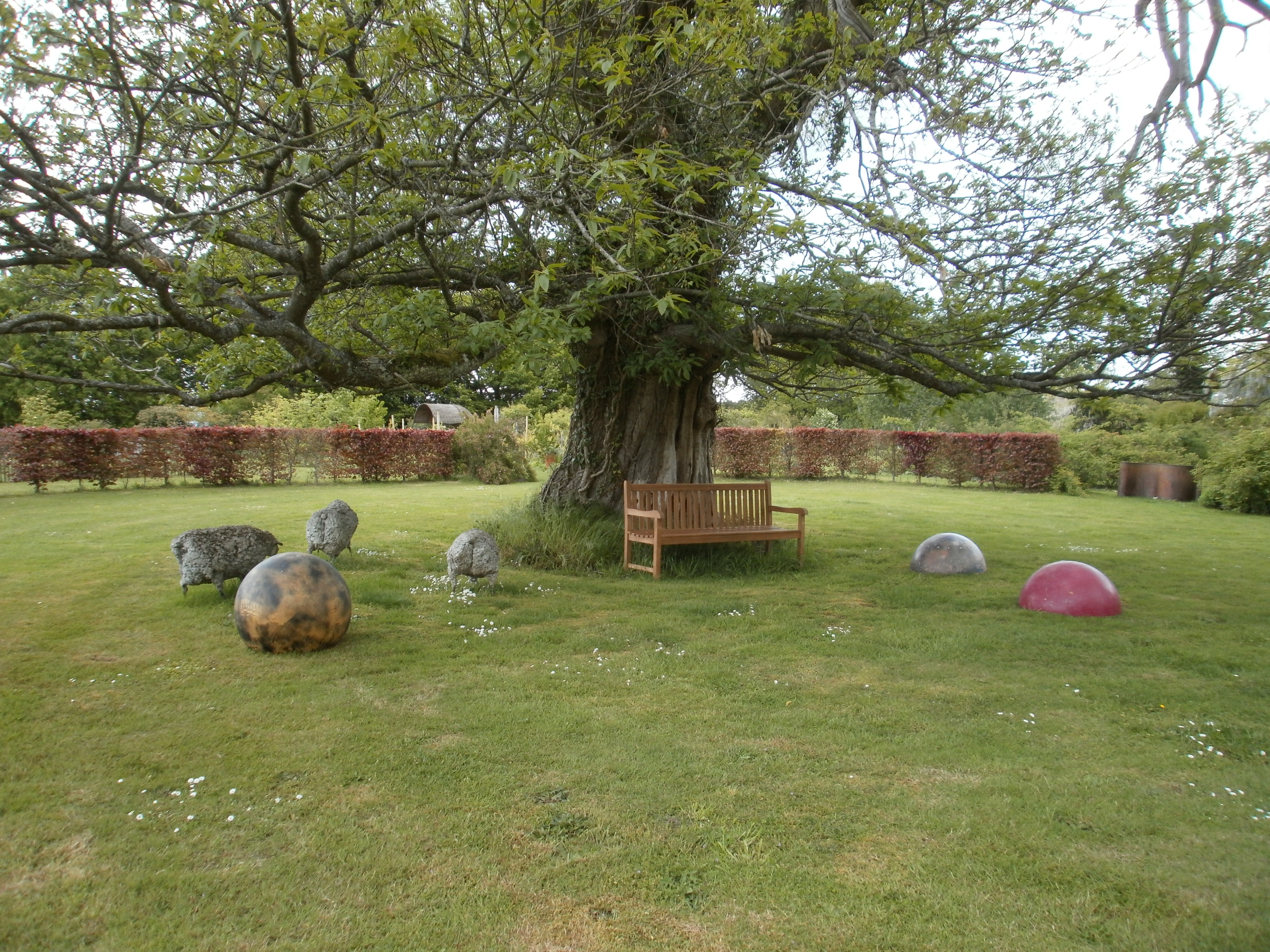 Le monde du jardin de Marie