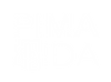 PimaIDA-logo-stacked-white.png