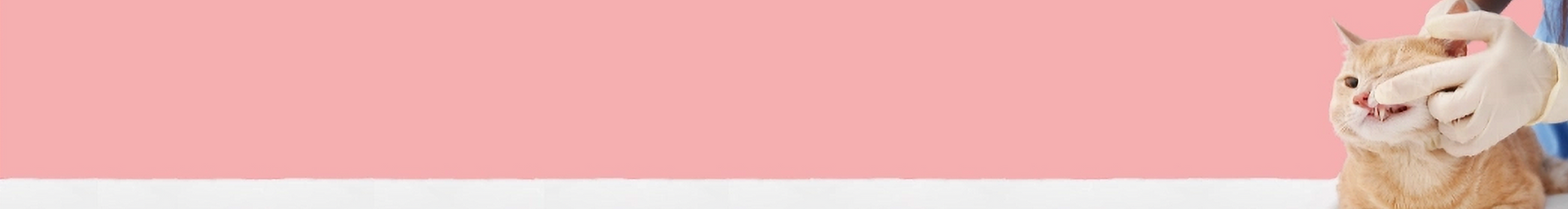 Untitled design (8)_edited_edited.png