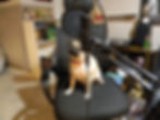 Stormy in podcast mode