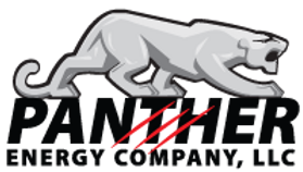 pe_logo.png