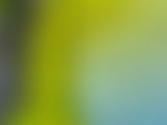 Comment transformer un lieu en expérience de marque lors d’un événement corporate en PACA